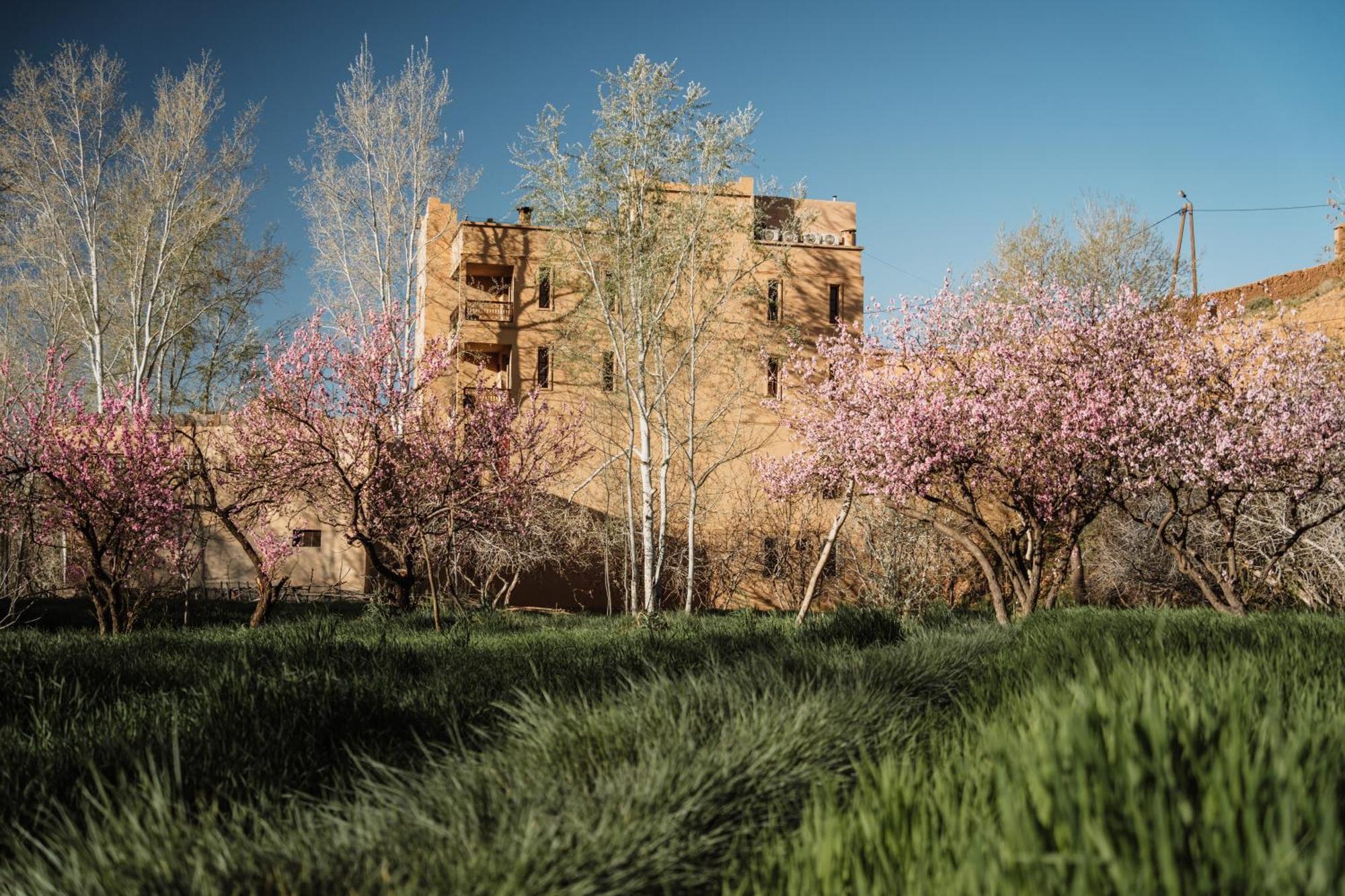 Chez Ichou Otel Aït Idaïr Dış mekan fotoğraf